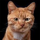 ���� �������, ������-���, 47 ��� - ��������� 1 ������� 2016