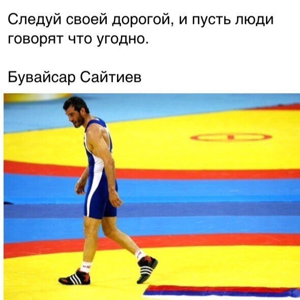 SportFeed - 28  2016  10:15