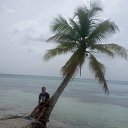 ���� ������, ������, 36 ��� - ��������� 31 ����� 2017 � ������ ���� ����������