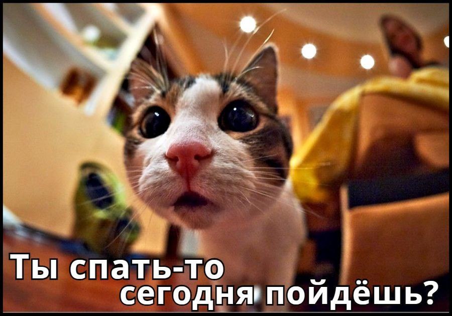 ������ - 12 �������� 2016 � 20:25