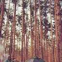 ���� �����, ����� - ��������� 13 ������ 2017 � ������ ����������� ��������