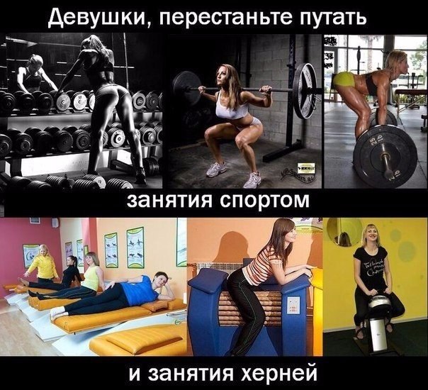  -  ,  ,  !!! - 11  2016  17:46