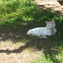 ���� Svetlozar, �����, 46 ��� - ��������� 4 ������� 2016 � ������ ��������� 2015�
