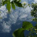 ���� ���������, ������, 66 ��� - ��������� 2 ������ 2017 � ������ ������ ��������