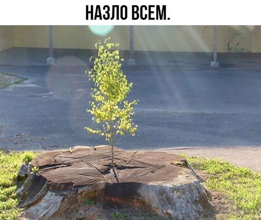 ,   ,    - 3  2017  03:57
