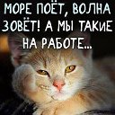 ���� ������, ������ - ��������� 5 ������� 2016 � ������ ��������