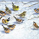 ���� ����, ������-��-����, 58 ��� - ��������� 13 ������� 2016 � ������ ������ ��������