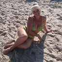  !, , 61  -  28  2016   _ 2016