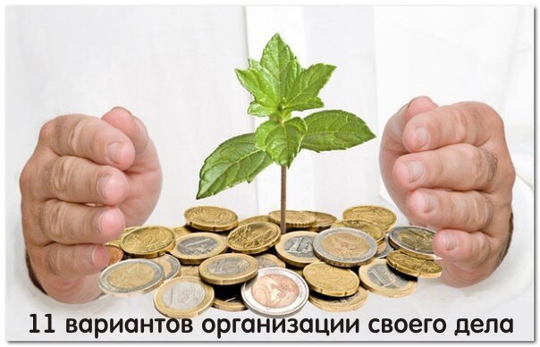 11 вариантов для организации своего дела .В принципе, существует лишь две альтернативы, а именно: ...
