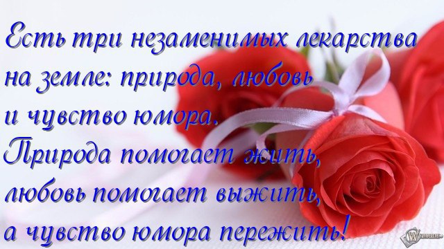  ,   ... - 6  2017  12:50