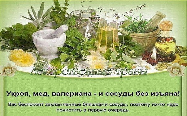 ПЕЧЕНЬ ОЧИСТИТСЯ МГНОВЕННО! Укроп, мед, валериана - и сосуды без изъяна! Вас беспокоят захламленные ...