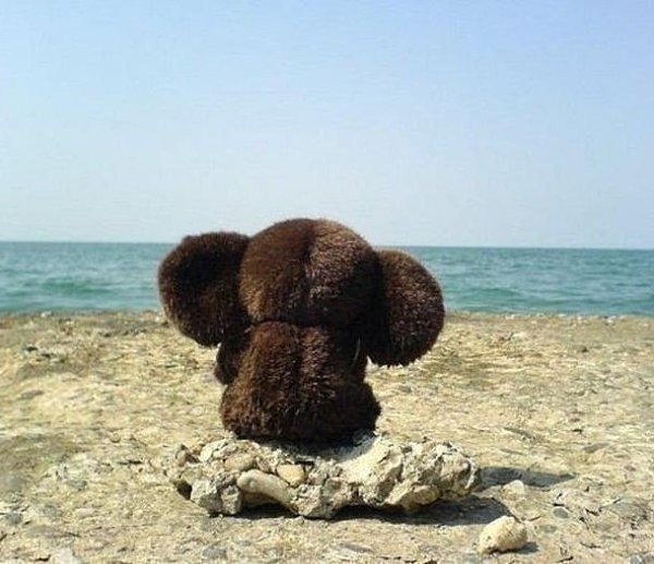Иногда становится так классно от того, что стало так пофиг на то, что было так важно.