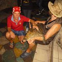 ���� ����, ���������, 37 ��� - ��������� 2 ������� 2016 � ������ ���� ����������