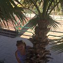 ���� ��������, ������, 52 ���� - ��������� 12 ������ 2016 � ������ ���� ����������