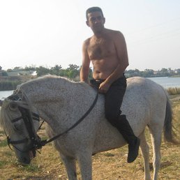 ��������, ���������, 51 ���