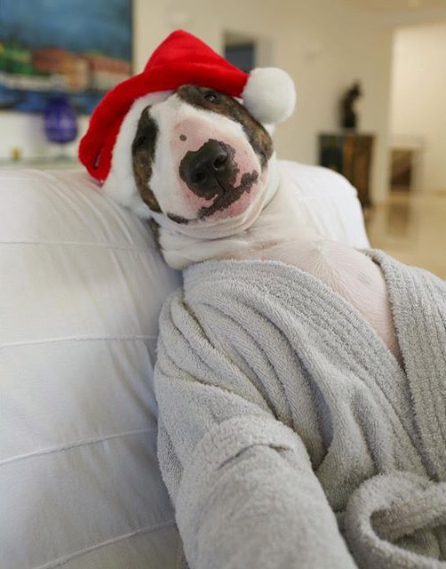 ДО НОВОГО ГОДА.ОСТАЛОСЬ 12 часов!!!!