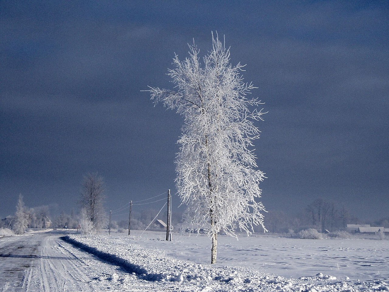  ! - 31  2016  14:29 - 3