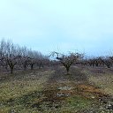  Gera,  -  6  2017    