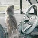 ���� ���������, ������, 64 ���� - ��������� 14 ����� 2017 � ������ ���� ����������