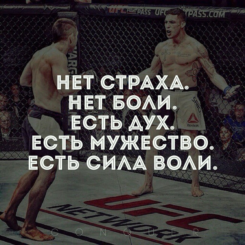    ! - 29  2016  13:38
