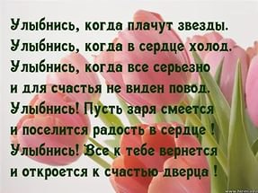    - 6  2017  12:53