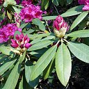 22.05.2016 �� ������� �������� ������������ ���.�