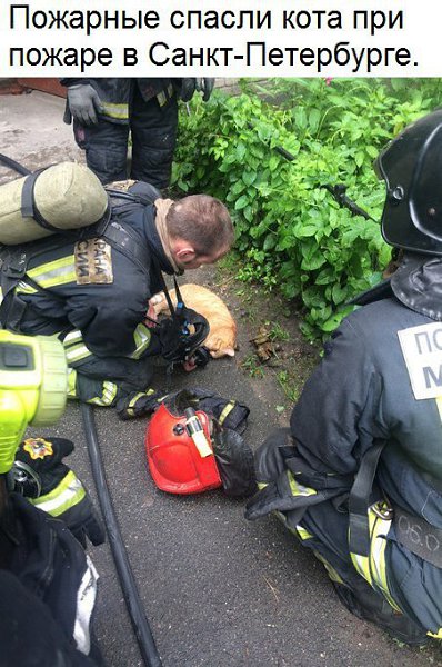 ������� - 27 ������ 2017 � 03:30