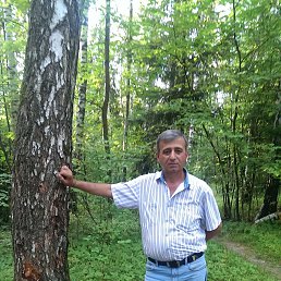 Villi, ������, 61 ���