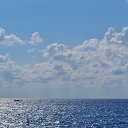  , , 60  -  25  2016    &quot; &quot; 2016