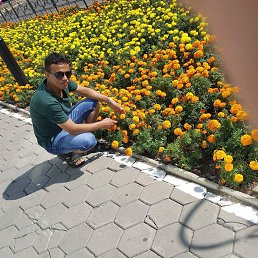 �����, ���������, 33 ����