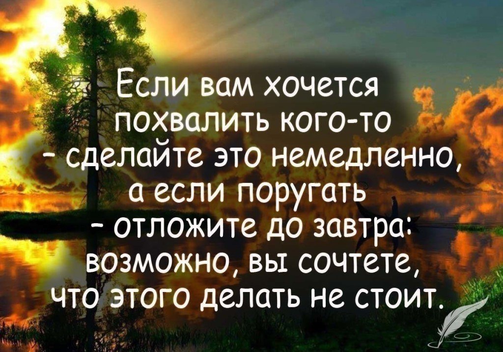        ,   , -     . - 2