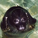 ���� ����, �������, 42 ���� - ��������� 28 ���� 2017 � ������ ������ ��������