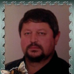 �������, ����, 71 ���