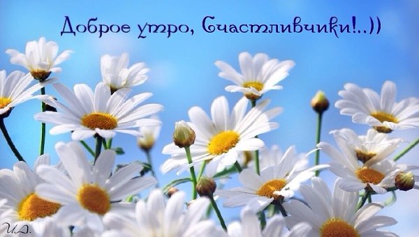 И не важно с какой ноги вы встаёте. Важно — с каким настроением живёте! Доброго утра и хорошего ...