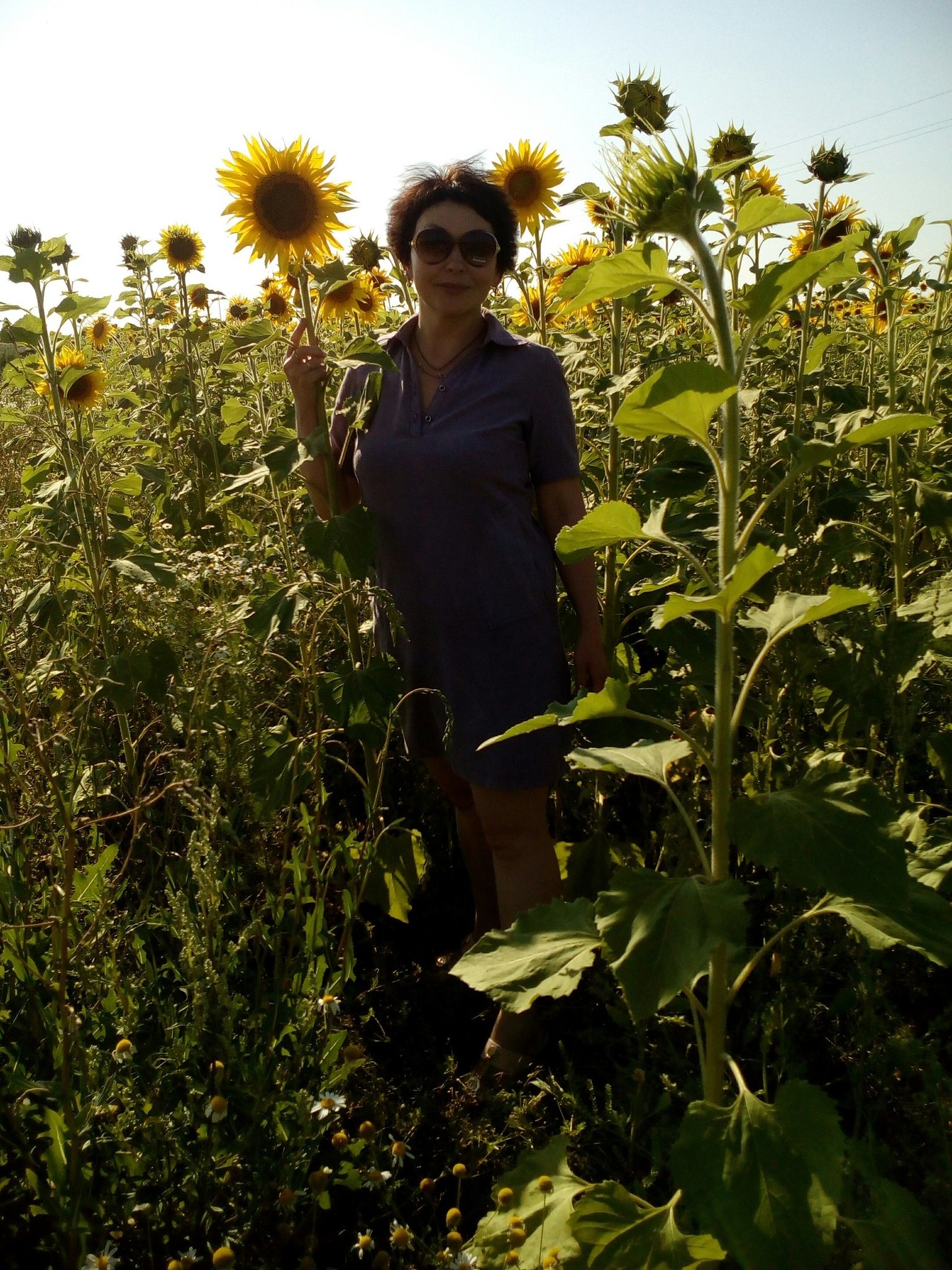 ♥♥ - 31  2017  19:46