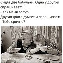 ���� ���, �����, 60 ��� - ��������� 11 �������� 2017 � ������ ������������..��� ��� � ��������..�