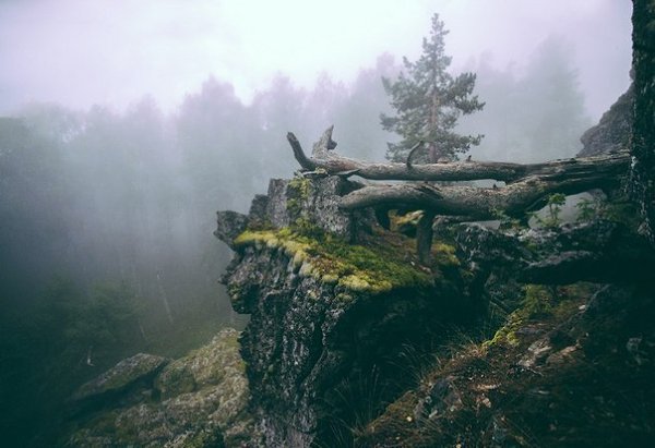 ������ ������ � ������, ��� ������� ����� ������ ����� ����� �������� � ���, ���� ������� ���� ... - 5