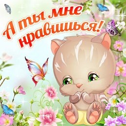 ���� �����, ��������� - ��������� 18 ������ 2017