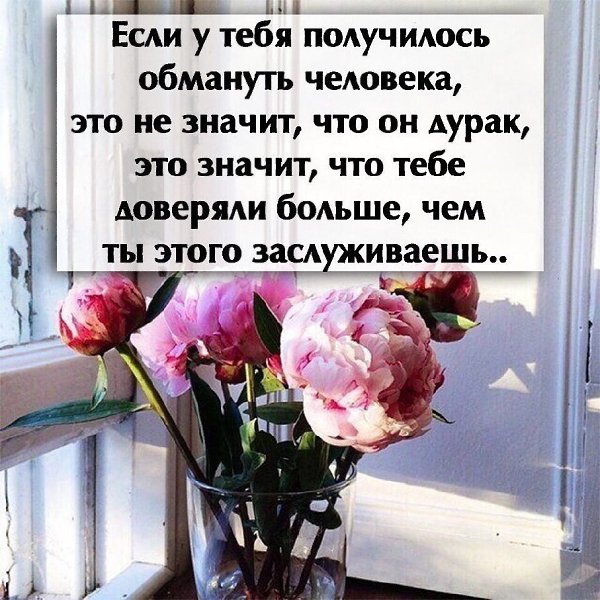 ������ ������� - 12 ���� 2017 � 18:41