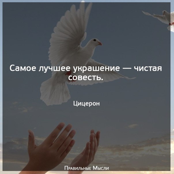    - 7  2017  11:52