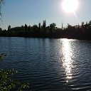  , --, 44  -  19  2017    