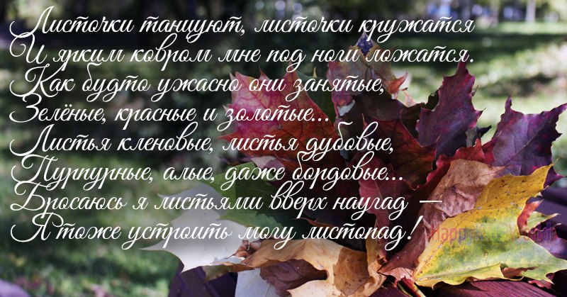  125rus - 19  2017  13:50
