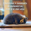 ���� ����, ��������, 36 ��� - ��������� 3 ��� 2017 � ������ ������ ��������