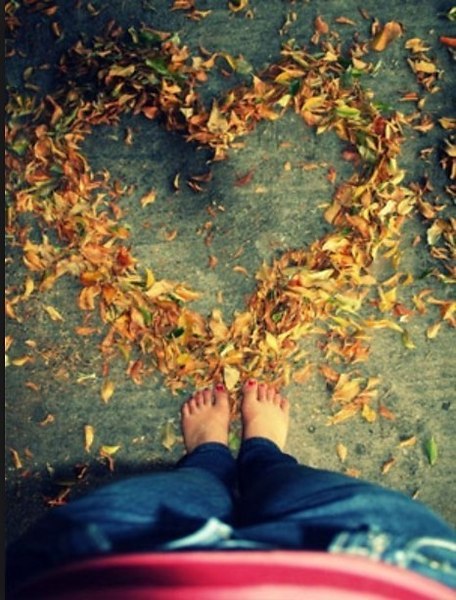  - 3  2017  17:03 - 5