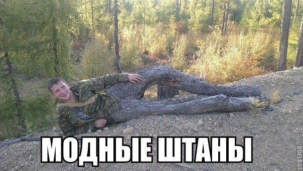    :D - 13  2017  18:04