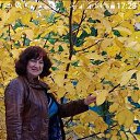 ���� ����, ������-��-����, 71 ��� - ��������� 9 ������� 2017 � ������ ���������� ������