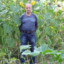 ���� ����������, �����������-��-�����, 64 ���� - ��������� 11 ������ 2017