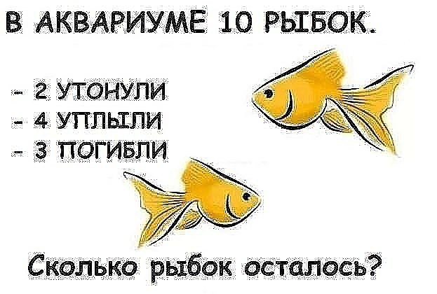 https://fotostrana.ru/away?to=/sl/2wC2 -   - 13  2017  14:18