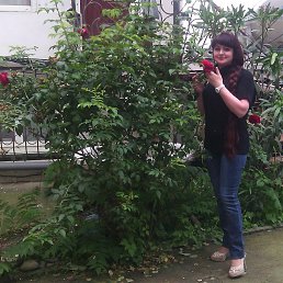 ���� ������� �� ��� �����!, ���������, 61 ��� - ��������� 15 ���� 2017