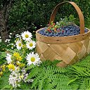 ���� ��������, Kouvola, 78 ��� - ��������� 3 �������� 2017 � ������ �����������